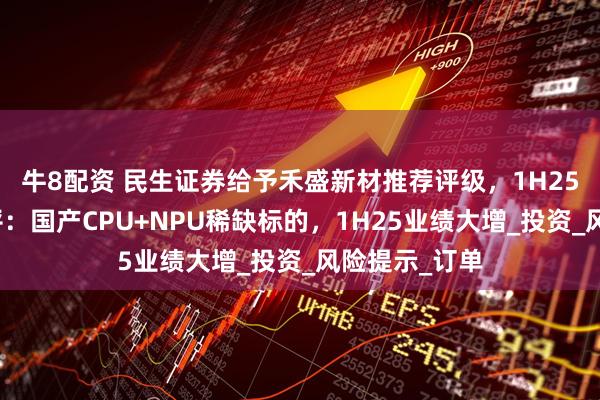 牛8配资 民生证券给予禾盛新材推荐评级，1H25业绩预告点评：国产CPU+NPU稀缺标的，1H25业绩大增_投资_风险提示_订单