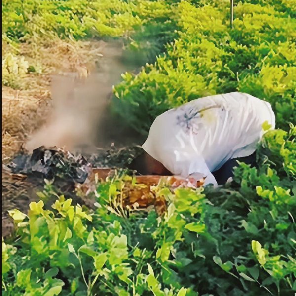 易信盈 李立群回河南老家祭祖，跪在坟前连磕3个响头，侄孙扶他也不起来